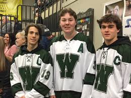 Image result for Demons Skater Hockey Club