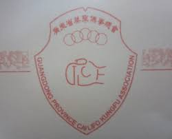Image result for Tao So Choy Kung Fu Club, Hull