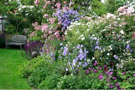 Image result for Glockenblumen