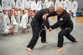 Image result for Malvern Taijutsu Kai Self Defence