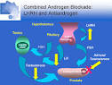 Hormonal Therapy for Prostate Cancer: Controversies and Advances ...