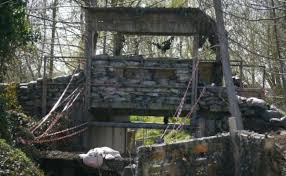 Image result for OX Kings - Paintball