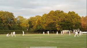 Image result for Leatherhead & Cobham Cc