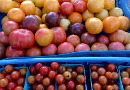 Image result for Tamworth Gc