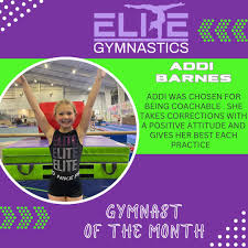 Image result for Elite Recreational Gymnastics Club