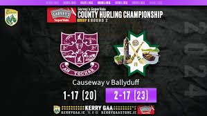 Image result for Causeway Hurling Club