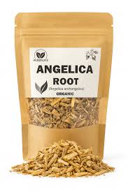 Attēlu rezultāti vaicājumam “Angelica archangelica fruit”