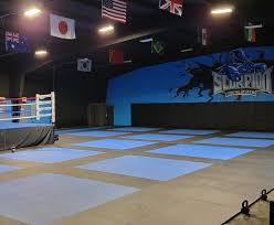 Image result for Scorpion Martial Arts Academy