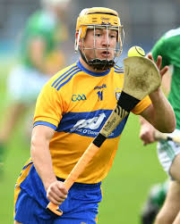 Image result for Clarehurlers