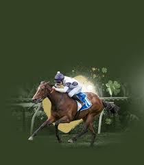 Image result for Bletchingly Badminton Club