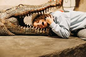 Attēlu rezultāti vaicājumam “Reptilia”