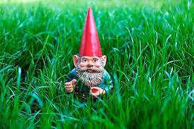 Image result for Gartenzwerg