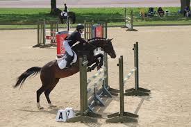 Image result for Elstead Riding Club