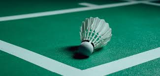 Image result for Gloucester Borderers Badminton Club