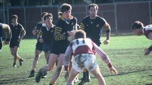 Image result for Bingham Rugby Union Football Club