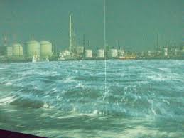 Image result for 高潮 津波 別物