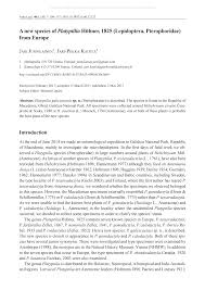 Attēlu rezultāti vaicājumam “Platyptilia gonodactyla imago”