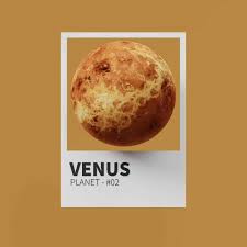 Image result for venus