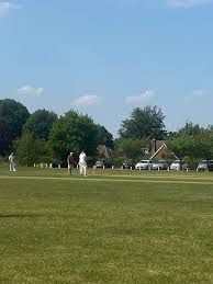 Image result for Ballinger Waggoners Cricket Club