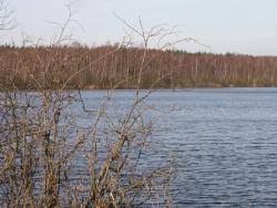 Rezerwat przyrody Jezioro Brzeziczno
