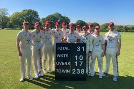Image result for Hadleigh & Thundersley Cricket Club