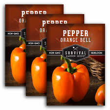 Afbeeldingsresultaat voor orange sun sweet pepper