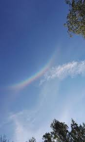 Kuvahaun tulos haulle haloilmi