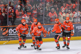 Image result for Sheffield Steelers