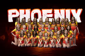Image result for Phoenix Acro Gymnastics Club
