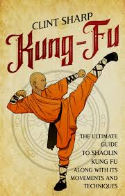 Image result for kung fu