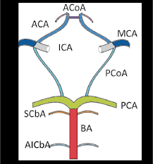 Image result for /ACoA