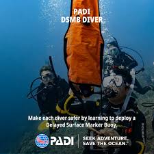 Image result for Robin Hood Dive School