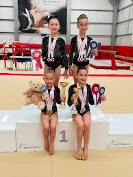 Image result for Colchester School Of Gymnastics