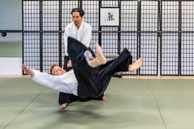 Image result for Ki Aikido (Epsom Ki Aikido