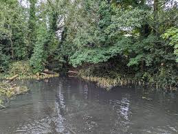 Image result for Bollington & Royal Oak Angling Society