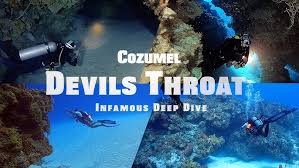 Resultado de imagen para cozumel dive