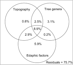 Attēlu rezultāti vaicājumam “Elmerina caryae”