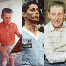 Resultado de imagen para schiaffino