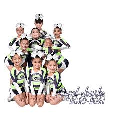 Image result for Gym Stars Cheerdancing Club