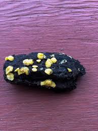 Attēlu rezultāti vaicājumam “Hymenoscyphus sp.”