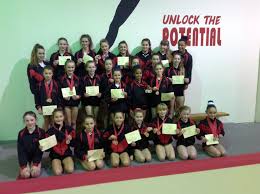 Image result for Holbeach and Fenland Gymnastics Club