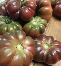 Afbeeldingsresultaat voor purple calabash tomato