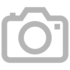 Attēlu rezultāti vaicājumam “Acupalpus flavicollis”