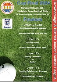 Image result for Jarvis Brook Juniors Football Club