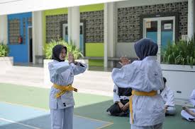 Image result for Durham University Shorinji Kempo Society Club