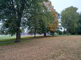 Image result for Norwood Grove Bowling Club