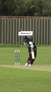 Image result for Biggleswade Town Cricket Club