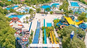 Image result for Dolphin Sub Aqua