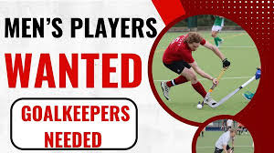 Image result for York University Street Hockey Club