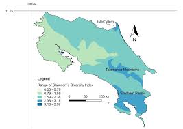 Attēlu rezultāti vaicājumam “Licea testudinacea”